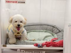 -百荣世贸商城