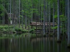 -靖西鹅泉风景区