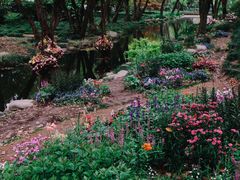 -上海共青森林公园