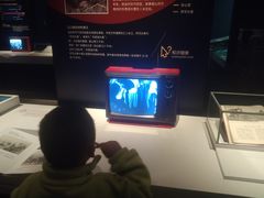 -盘龙城遗址博物院