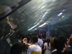 iphone_upload_pic-郑州海洋馆