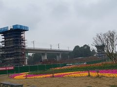 -秀丽东方