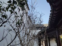 -召稼楼古镇