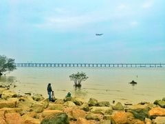 景点-宝安西湾红树林湿地公园