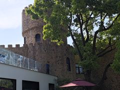 -J Create城市露营咖啡·简餐·宠物(上海动物园店)