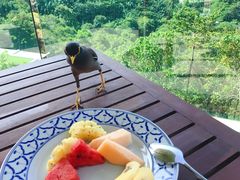 -Nook Dee Kata Beach Resort Thai massages