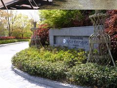 -上海崇明金茂凯悦酒店