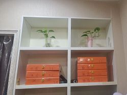 -金美秀养生瘦身