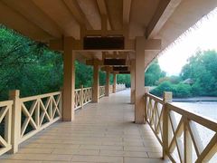 -大亚湾红树林城市湿地公园