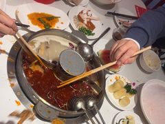 -九码头重庆毛肚火锅(棠岗店)