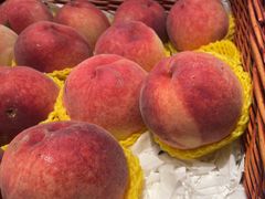 -金鼎轩(阜成门店)