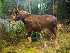 -陕西自然博物馆