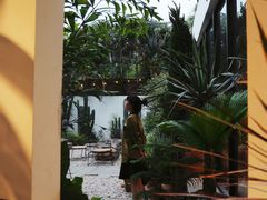 -自由生长植物工作室(深港花卉中心店)