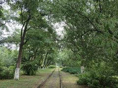 -永定河休闲森林公园