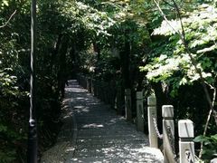 -十八棵（老龙井）御茶园(老龙井店)
