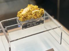 -安徽省地质博物馆