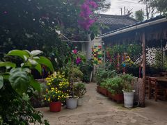 大堂-又见炊烟．纳西小院云南菜