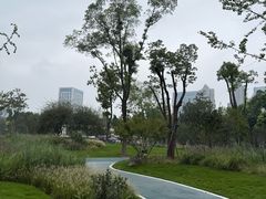 -后襄河公园