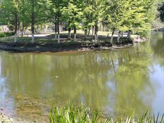 -长白岛森林公园