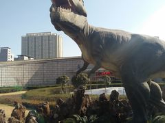 -陕西自然博物馆