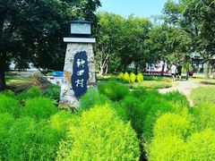 -江苏三台山国家森林公园