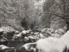 -西岭雪山大飞水景区