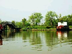 -合肥滨湖国家森林公园