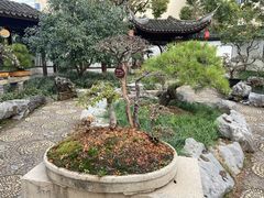 -上海醉白池公园