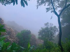 -梧桐山风景名胜区