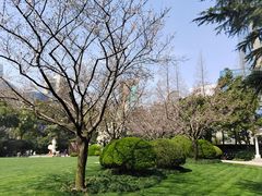 -静安公园(静安寺街道)