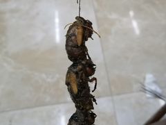-雷哥烧烤(丰储街店)
