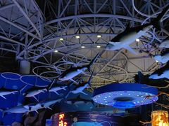 -烟台海昌鲸鲨海洋公园