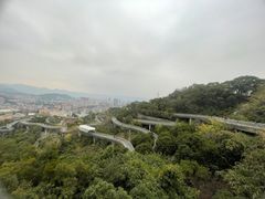 -福道