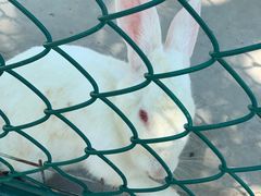 -上海滴水湖皇冠假日酒店