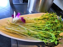 -川西坝子(老军营店)