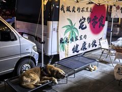 -莫子山公园