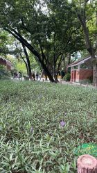 -小鲤鱼寻宝记·AR亲子户外剧本闯关(广州东山湖公园店)