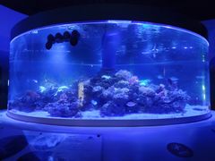 -宁波科学探索中心