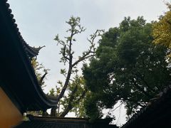 -张记砂锅麻辣烫(千灯店)