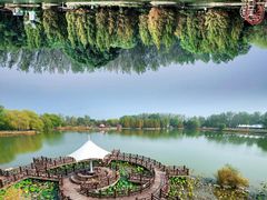 -北京国际鲜花港