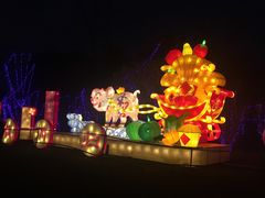 -祥源·阜阳生态乐园