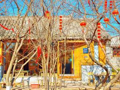 -春风习习
