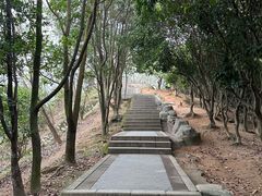 -阳台山森林公园