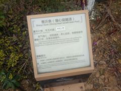 -凤翔首邑温泉度假村
