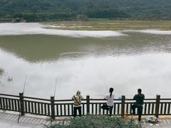 -艾米稻香小镇