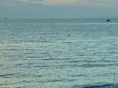 -惠州金海湾嘉华度假酒店