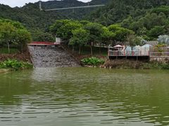 -南丹山森林王国