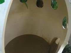 -100蛋泥浆浴