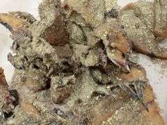 -活鱼馆(宜兴埠店)