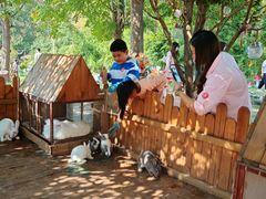 -HERRE·FARM 赫尔露营农场·团建聚会包场